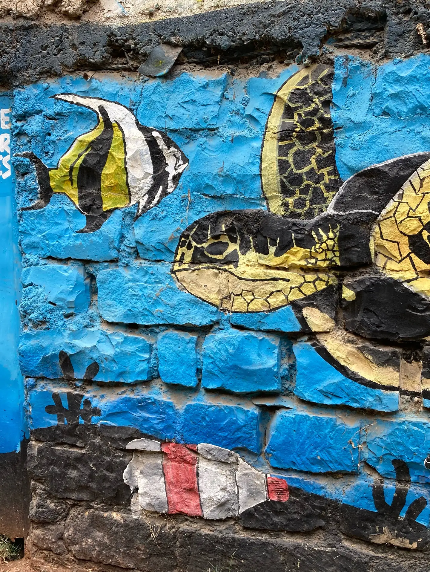 A sea turtle and tropical fish brighten a blue wall in a neighbourhood mural.